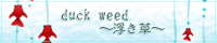 DUCK WEED@``